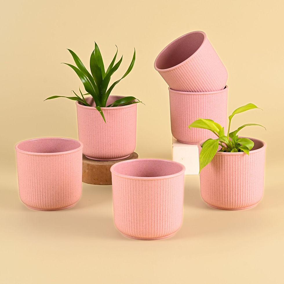 Thumbnail: Linea pots