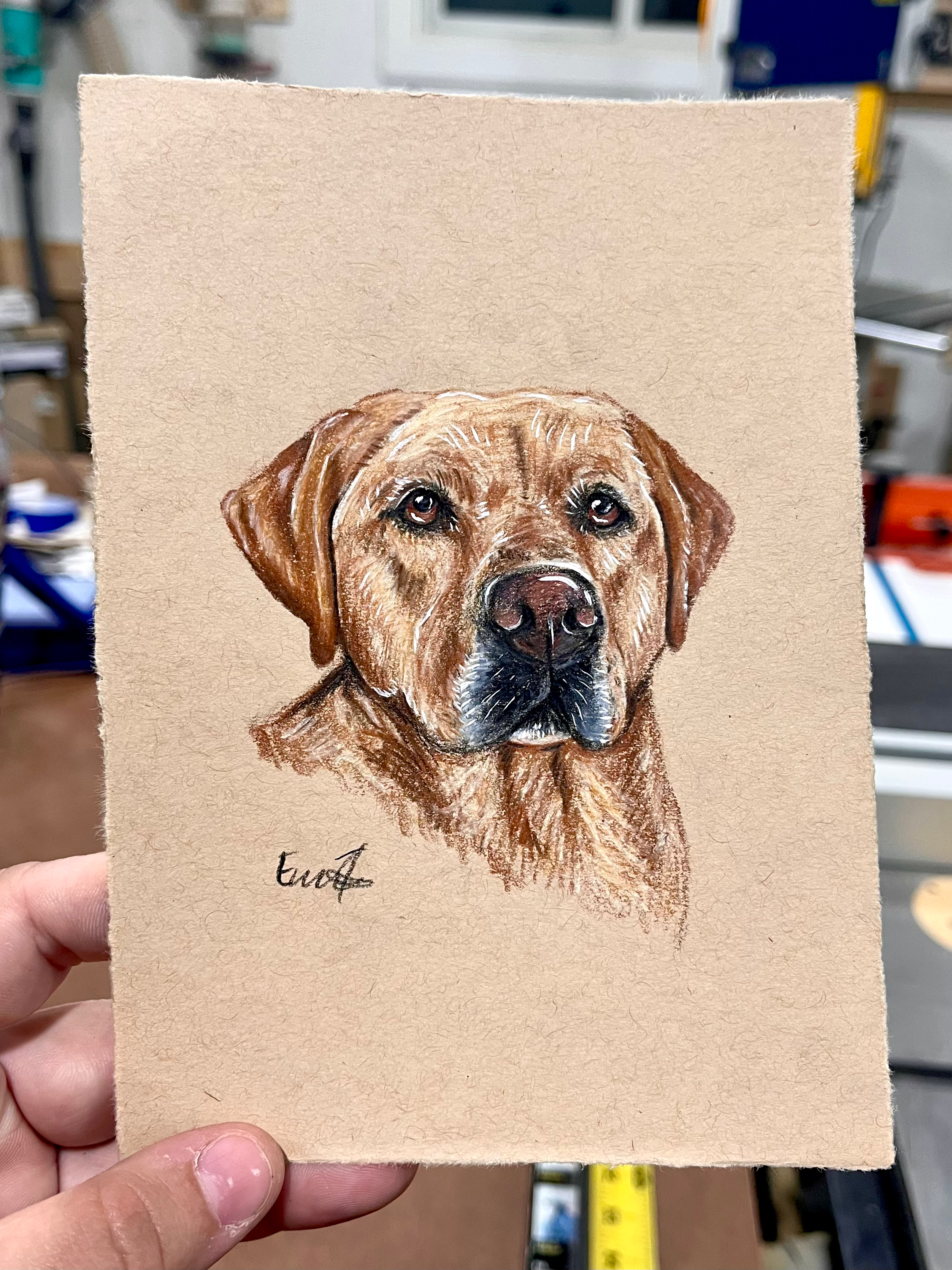 5x7" Pet Portrait (Colored Pencil)