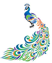 peacock.jpg
