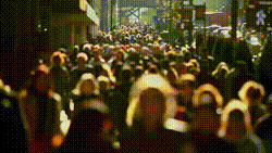 bloggif_5d78eb128a6cf.gif