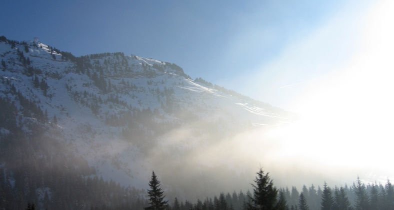 23-1 IMG_0847_edited (3).jpg