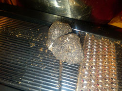 truffe noire