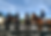Screenshot 2026-02-11 at 3.15.53 PM.png
