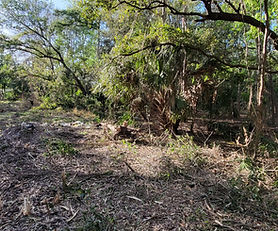 Poinciana Blvd (Vacant Land Only)