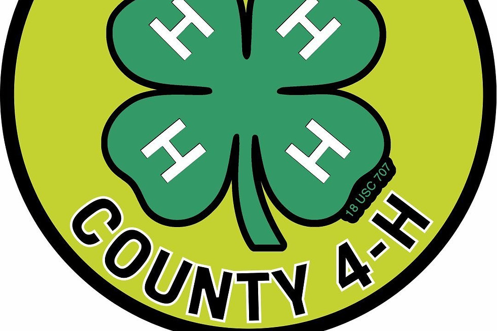 4h.jpg