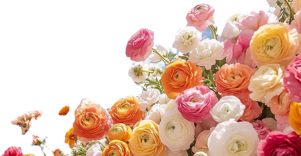 Colorful Flower Arrangement