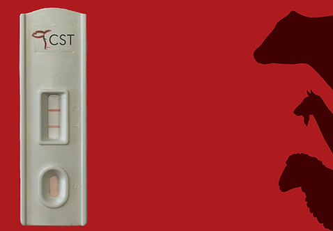 PAG Button for Website.png