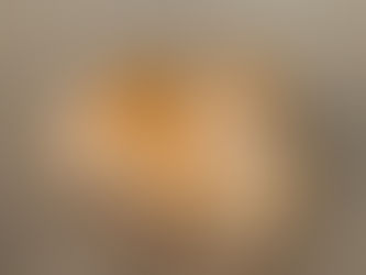 Feline Lower Urinary Tract Disease (FLUTD): Why Our Cats Keep Us Guessing