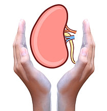 Картинки по запросу insuficiencia renal cronica