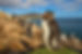 falkland-islands-in-pictures-beautiful-p
