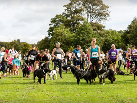 Brighton's K9 Challenge, raising awareness for the charity 'Support Dogs'.