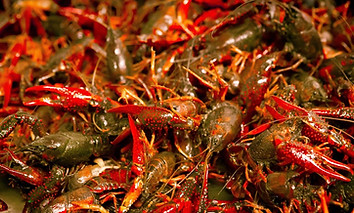California Crawfish