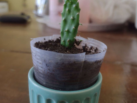 A melhor forma de se conectar com clientes digitais