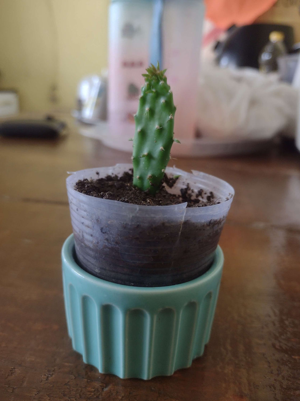 A melhor forma de se conectar com clientes digitais