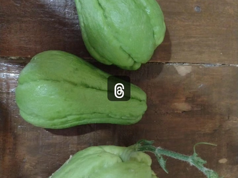 Comércio ecológico: o futuro de um consumo sustentável