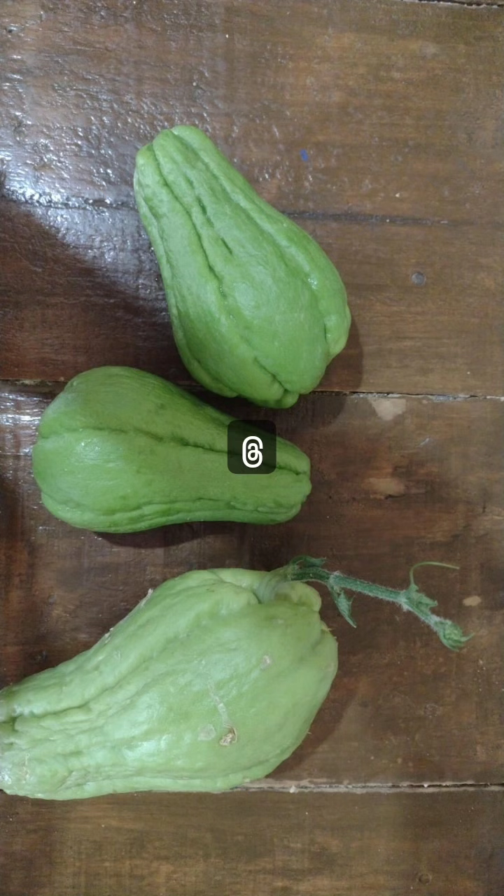 Comércio ecológico: o futuro de um consumo sustentável