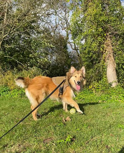 123013451_657314715158847_75939114437590