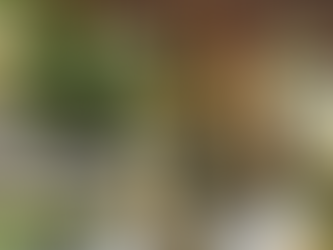 Beyond the Price Tag