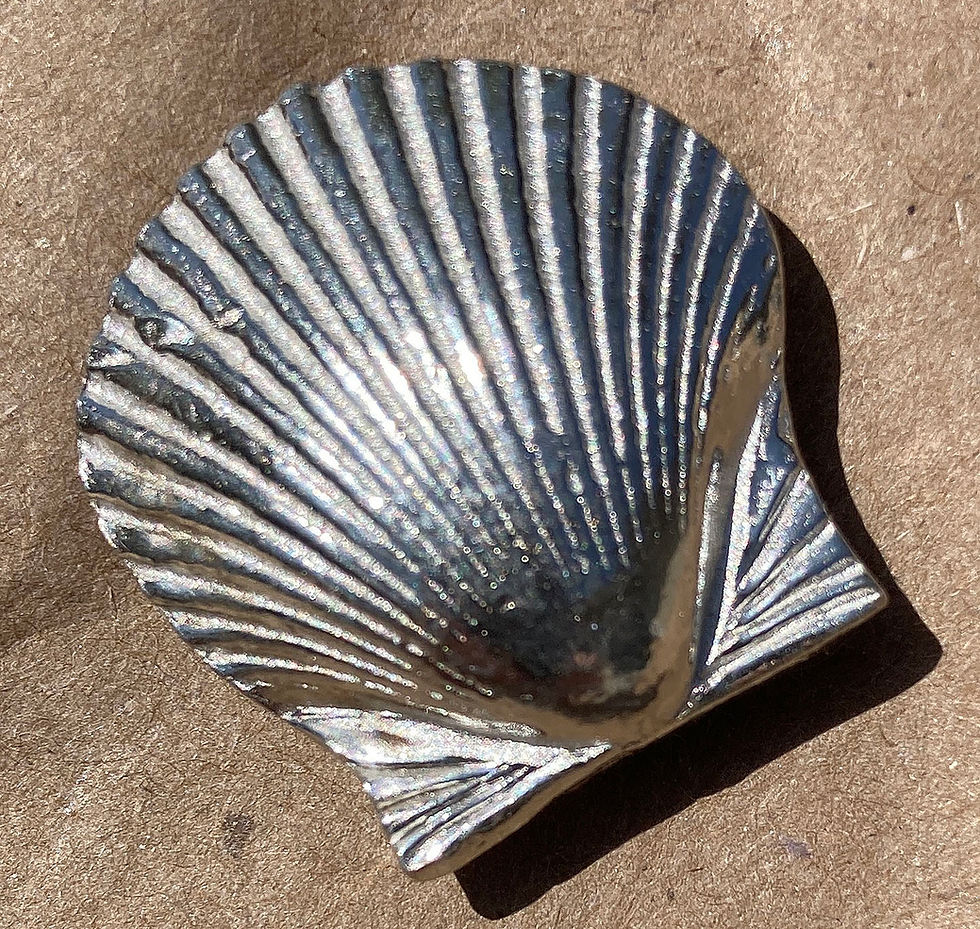 Basic Spirit Pewter Clam Shell pmgallery