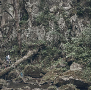 God Is Present in the Wilderness, Providing What’s Needed