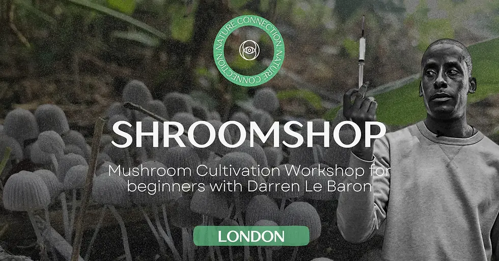Shroomshop: Mushroom Cultivation Workshop