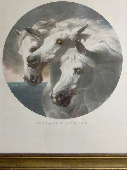 Large engraved roundel Pharaoh's Horses heads of three white steeds by Wentworth after J F Herring