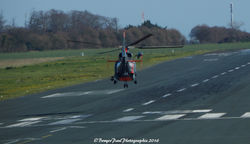 SA365 Dauphin Marine Nationale