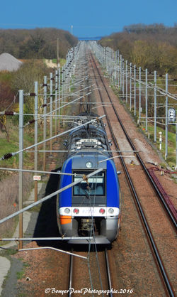 TER