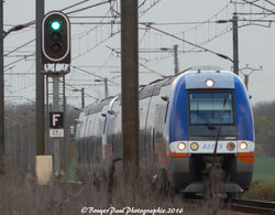 TER