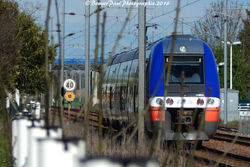 TER