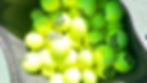 bag of tennis balls