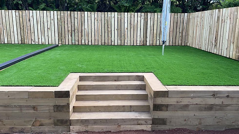 new grass in a garden