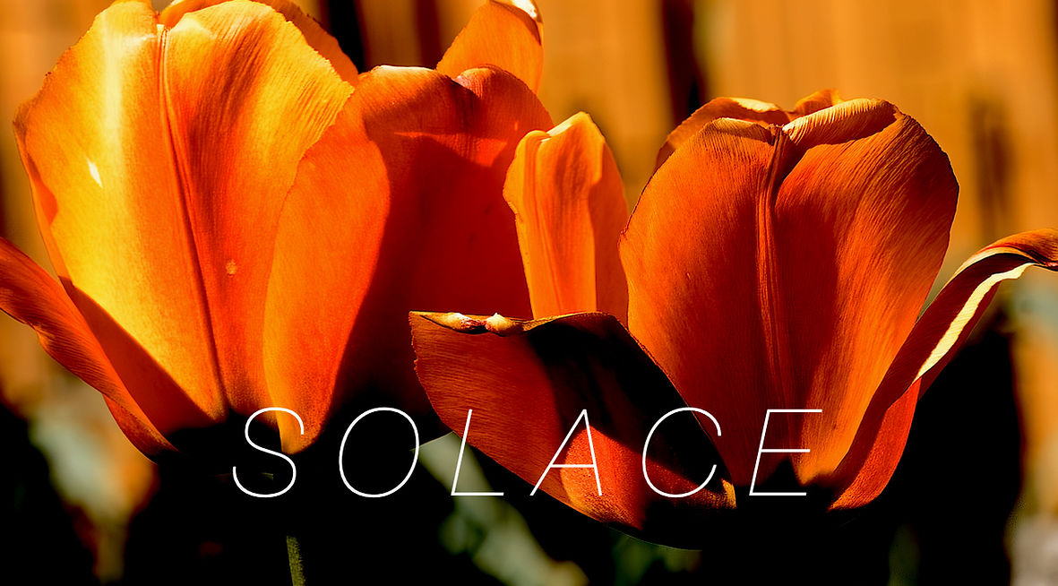 Solace3.42_edited.jpg