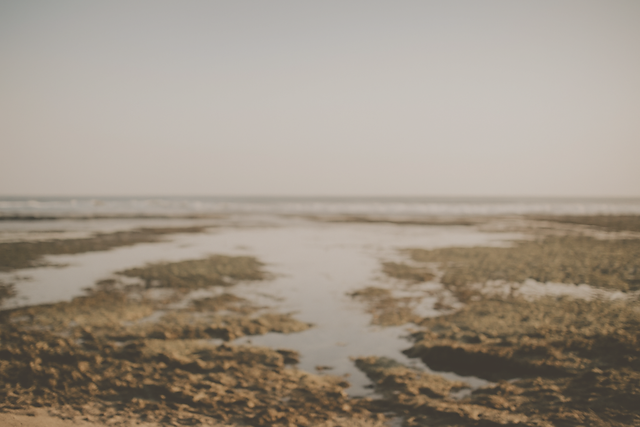 Website image2.png