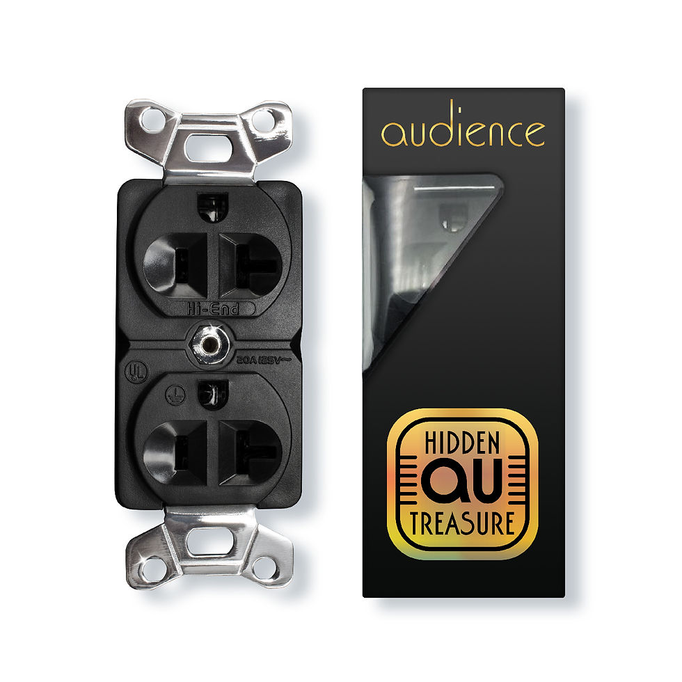 Hidden Treasure Wall Receptacle