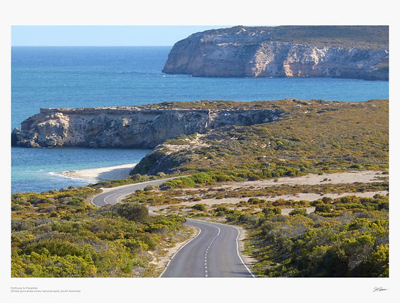Pathway to Paradise A1.jpg