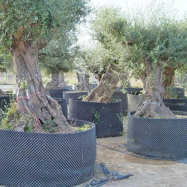 Miniatura: AIR POT DA 1 L: VASO ANTISPIRALIZZAZIONE CON KIT COMPLETO