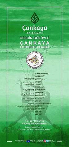 2016 GGC Afis (Large).jpg