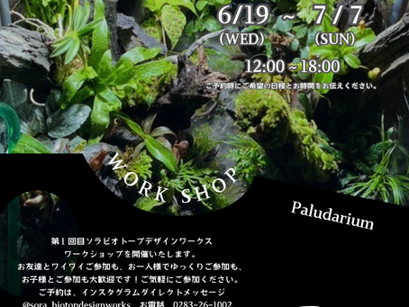 パルダリウムワークショップ
