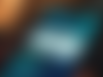 Beware of MP Text Scams!