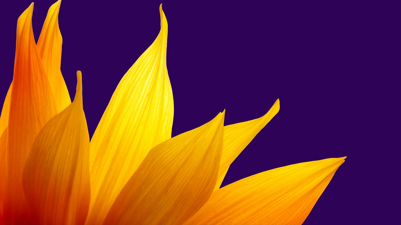 Untitled design (18).jpg