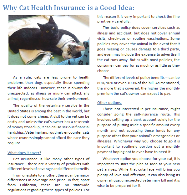 Why Cat Health Insurance is a Good Idea