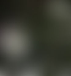 Blog Intro