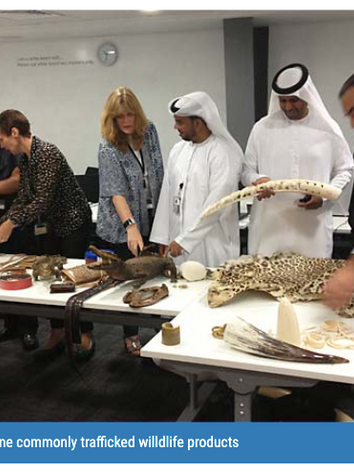 Screen Shot 2021-10-10 at 3.14.58 PM.png