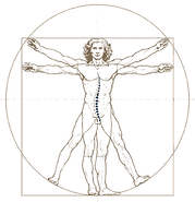 davinci_logo_transparent.png