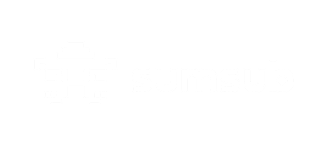 Wirex Partner Sumsub