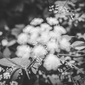 Creating a Circle for the Numinous