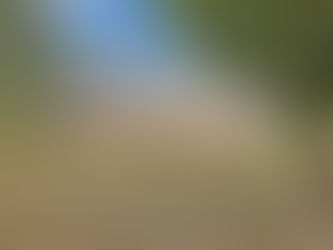 SOLD • The Gallery - 1090 Cockleshell Drive SW