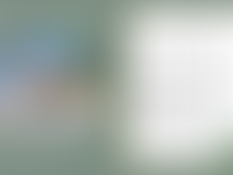 The Gallery 4001 E Oak Island Drive - SOLD