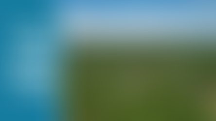 The Gallery - 3318 Four Water Lane SW - SOLD